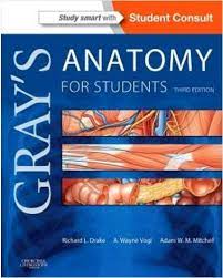 grays anatomy for students pdf Download